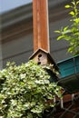 Birdhouse on window