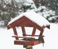 birdhouse in winter, detail of feeding titmice Royalty Free Stock Photo