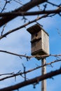 A birdhouse on a wooden stick through branches with blue sky background