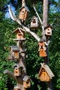 Birdhouses Royalty Free Stock Photo