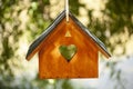 Birdhouses and bird feeder in the forest on a blurry background of greenery. Save birds. Bird feeding Royalty Free Stock Photo