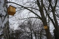 Birdhouses in the trees by the Wuhle river in snowy winter. Marzahn-Hellersdorf, Berlin, Germany Royalty Free Stock Photo