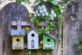 Birdhouses on wooden fence with flowers Royalty Free Stock Photo