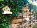 Birdhouses on wooden fence in garden