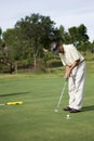 Birdie Putt Royalty Free Stock Photo