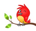 Birdie on tree branch Royalty Free Stock Photo