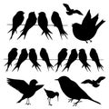 Birdies Bird Silhouettes Swallows on a Wire Royalty Free Stock Photo