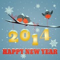 Birdies Happy new year 2014