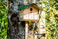 The birdies house