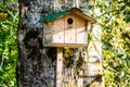 The birdies house Royalty Free Stock Photo