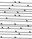 Birdies on a wire. Royalty Free Stock Photo