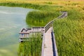 Birding Boardwalk Royalty Free Stock Photo