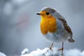 Birding in frost Nature enthusiasts spotting and appreciating winter avian beauty