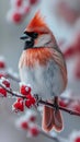 Birding in frost Nature enthusiasts spotting and appreciating winter avian beauty