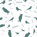 Birding seamless pattern. Birds silhouettes and word Birding. Royalty Free Stock Photo