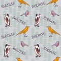 Birding seamless pattern. Birds and word Birding on forest background. Royalty Free Stock Photo