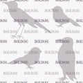 Birding text seamless pattern. Lettering on birds silhouettes background. Royalty Free Stock Photo