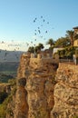 Birds above the cliffs - Ronda