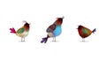 birds abstraction movement birds abstraction motion animation 2d