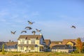 Birds against sky over homes in Daybreak Utah Royalty Free Stock Photo