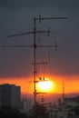 Birds on Antenna Watching Sunrise