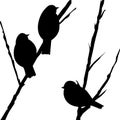 1012 birds, background with silhouettes of birds on the branches Royalty Free Stock Photo