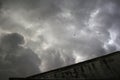 birds on the background of thunderclouds