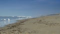 Birds at the beach during winter 4K