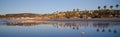 Birds, beachgoers and reflections at low tide during sunset at L Royalty Free Stock Photo