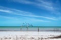 Birds on a beautiful beach in Holbox island in Yucatan peninsula Mexico Royalty Free Stock Photo