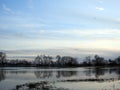 Birds, trees and flood field in spring, Lithuania Royalty Free Stock Photo