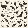 Birds big collection, stylized vector silhouettes Royalty Free Stock Photo