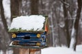 Birds in the bird feeder in the winter snow forest Royalty Free Stock Photo