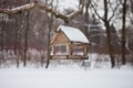 Birds in the bird feeder in the winter snow forest Royalty Free Stock Photo