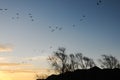 Birds and blue sky in Nianhu Lake