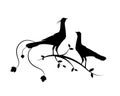 Birds Couple Silhouette on Branch Vector, Birds in love Silhouette, Wall Decals, Couple of Birds in Love, Art Decoration Royalty Free Stock Photo