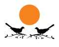 Birds Couple Silhouette on Branch, Vector. Birds in love Silhouette, Wall Decals, Couple of Birds in Love, Art Decoration Royalty Free Stock Photo