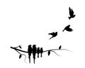 Flying birds silhouettes and branch illustration isolated on white background Royalty Free Stock Photo