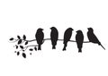 Birds On Branch Illustration, Birds on Tree Design, Birds Silhouette, Wall Decals. Art Design, Wall Design Royalty Free Stock Photo