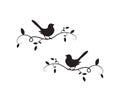 Birds On Branch Silhouette Vector, Wall Decals, Wall artwork, Birds on two branches design, Birds Silhouette Royalty Free Stock Photo