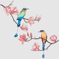 2043 birds, birds on branches with magnolia flowers, drawing in bright colors, isolate on a white background Royalty Free Stock Photo