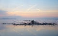 Birds, Branches In Morning On Lake