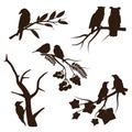 Birds on branches set. Owl, crow, sparrow, songbirds.