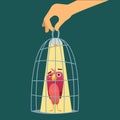 Birds cage. cartoon bird sitting in cage. Vector pictures of prison for bird