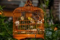 Birds in cages hanging at the Bird Garden - 10