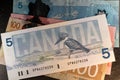 Birds of canada banknote on top of new design of Canadian banknotes