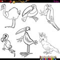 Birds cartoon coloring page Royalty Free Stock Photo