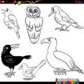 Birds cartoon coloring page Royalty Free Stock Photo