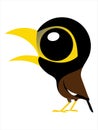 A Big eyes cute bird, Bird cartoon of Common Myna.