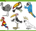 Birds cartoon set illustration